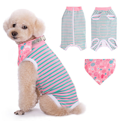 Pet Recovery Suit and Bandana Combo - Striped Pink & Green XL