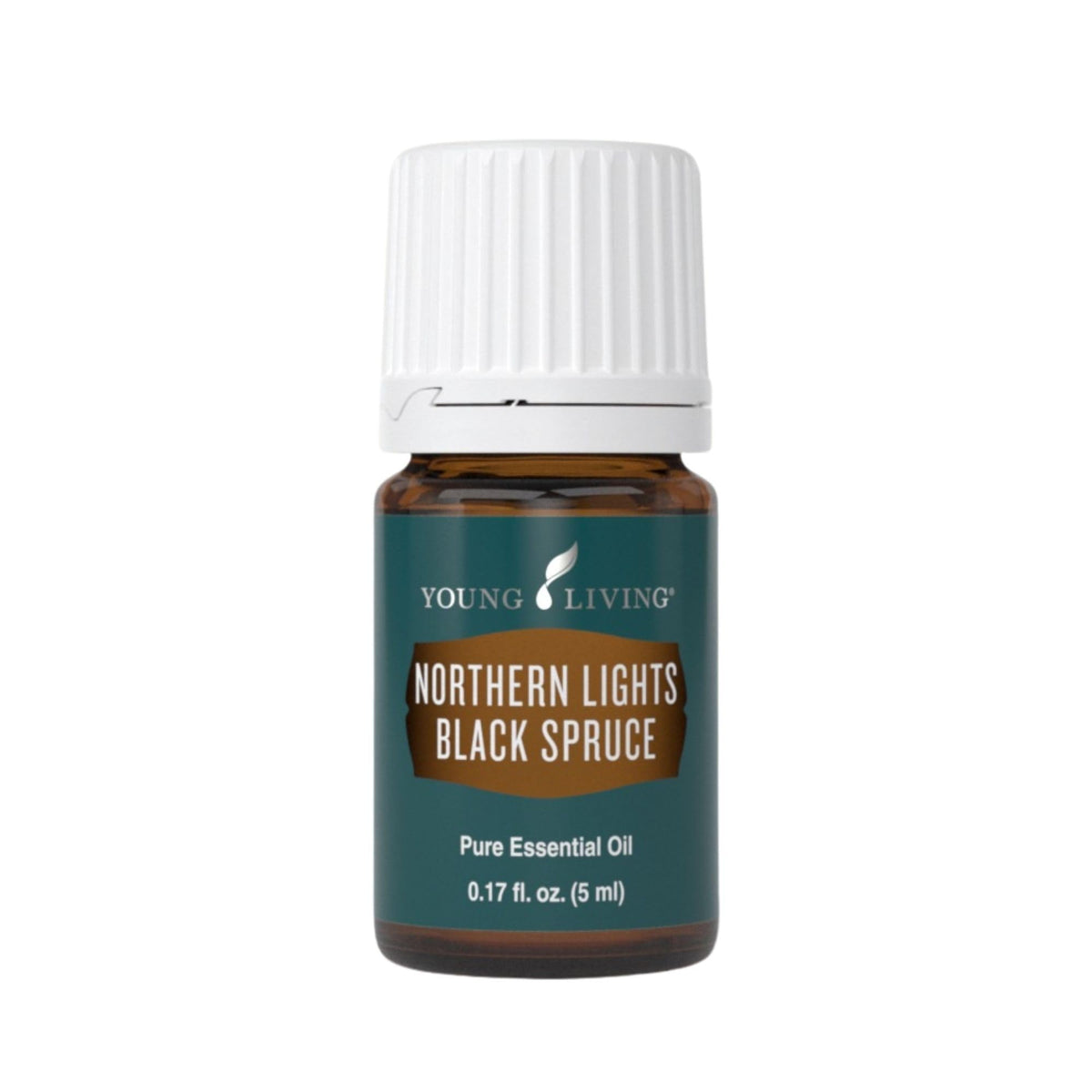 Northern Black Spruce Tranquility Oil 5ml - Soothing & Grounding Essence