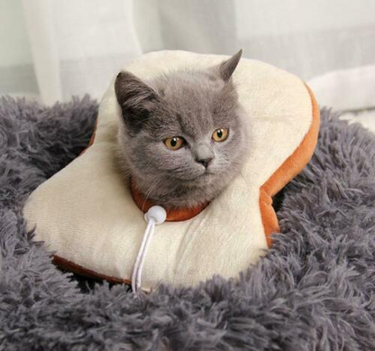 Adjustable Soft Pet Recovery Collar for Cats and Puppies