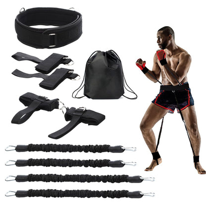PowerPunch Pro Resistance Band Set for Full-Body Fitness