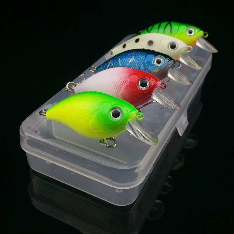 Fishing Bait, Tackle, and Gear Collection