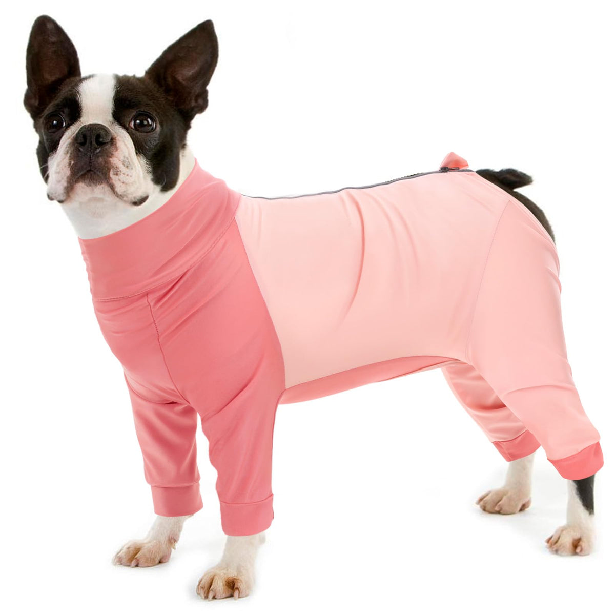 KOESON Comfort Care Dog Recovery Suit M